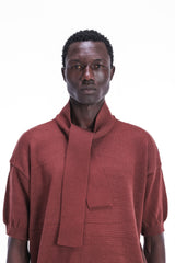 Scarf-Collar Short Sleeve Knit